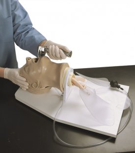 LF 03699U Yetişkin Entübasyon Maketi Standlı
